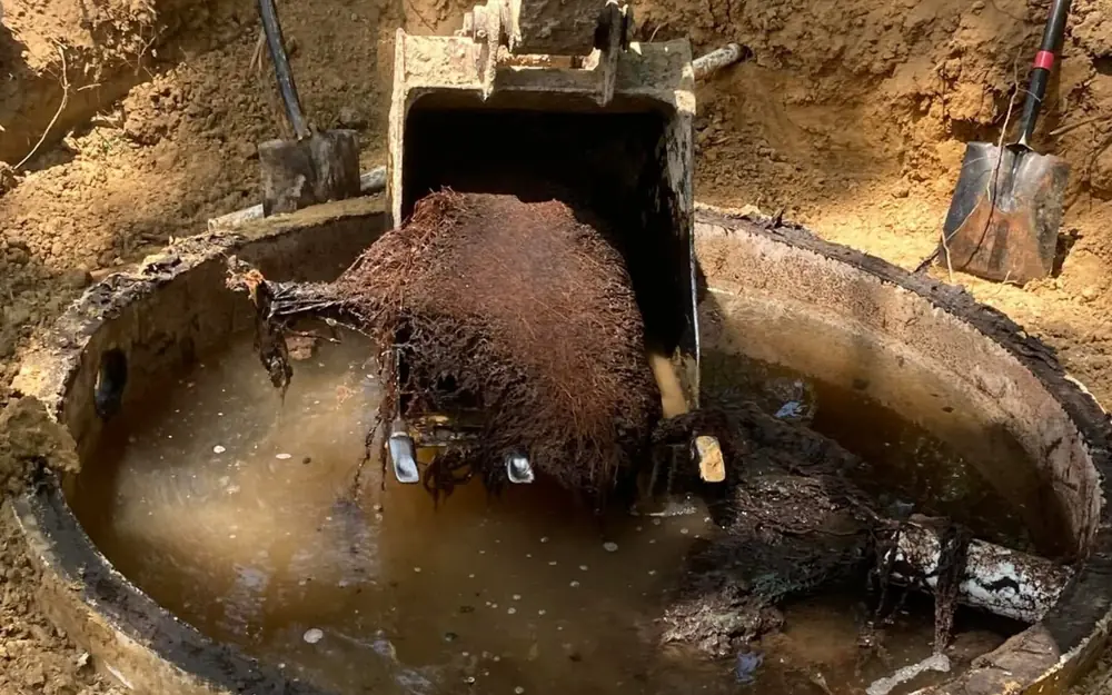 A tracked excavator bucket lifting a dense mass of tree roots out of an opened septic tank